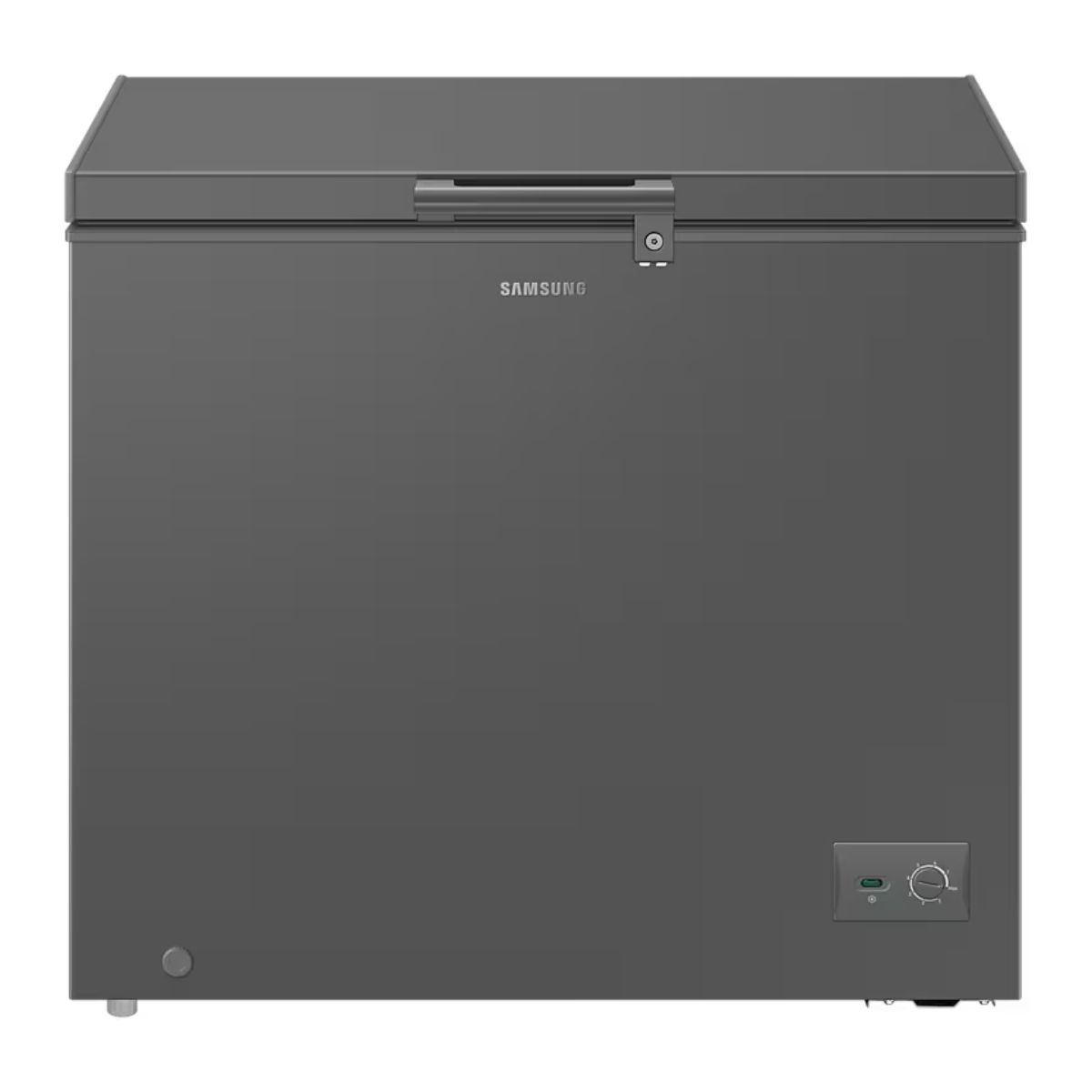Samsung 198L Freezer - RI70F20V2GAUT