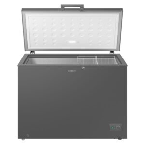 Samsung 287L Freezer - RI70F29V2GAUT